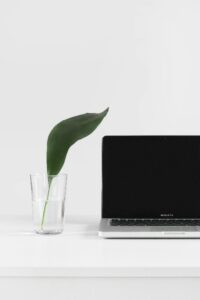 Laptop and a plant in a glass but not in that order